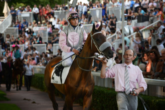 Paris, champ de courses d'Auteuil