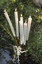 Buffet Robinson : bougies en forme de roseaux