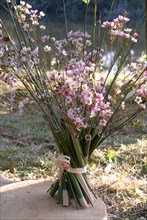 Buffet Robinson : bouquet champêtre dans de petits vases en bambou