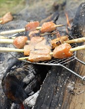 The Robinson Crusoe buffet: caramelized brochettes of salmon and sesame