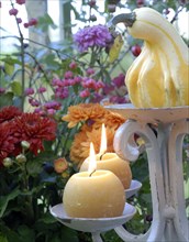Meal on a forest theme: gourd, candles and flowers