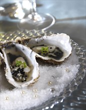 Glamour dinner 'sewing theme': oysters with herring eggs