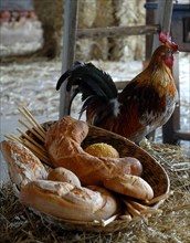 Repas "tout à l'oeuf" : corbeille de pains spéciaux