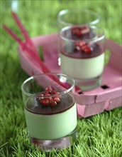 Meal in pink and green theme: pistacchio flavoured panna cotta and morello cherries coulis