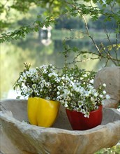 Buffet Robinson : petits bouquets de fleurs champêtres dans des vases en demi-poivron
