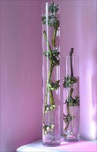 Meal in pink and green theme: branches with berries in tubular vases