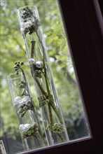 Repas en rose et vert : branchages et baies dans des vases