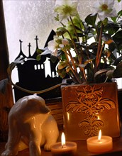 Dinner from the Deep North: Helleborus niger, candles and porcelain polar bear