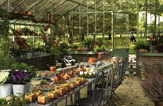 Meal on a forest theme: table set up in a greenhouse