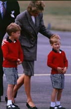 L'arrivée de Diana et les deux princes.