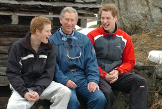 Prince Harry and Prince William seen here with their father Prince Charles at a photo call in