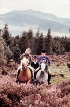 La reine Elisabeth II en promenade à cheval