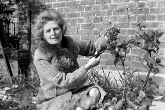 Mrs. Margaret Thatcher enjoying the sunshine in her front garden of her London Home, and doing a