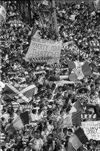 Scottish Cup final 1988