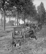 Belgian army dog teams rest by the roadside as soldiers in the backgroundd build a barricade across