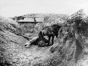 French Red Cross dog finds a wounded soldier. January 1918