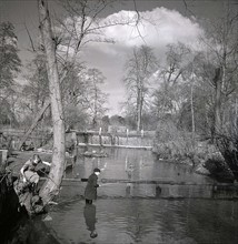 Pêche vers Grove Mill, 1949