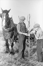 Haymaking at Penshurst July 1939