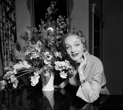 Marlène Dietrich