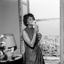 Sophia Loren