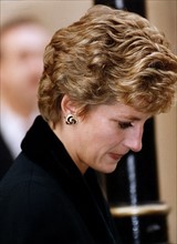 La Princesse Diana, 1993