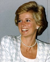 La Princesse Diana, 1990