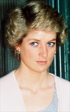La Princesse Diana, 1988
