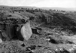 Les meurtres de la lande