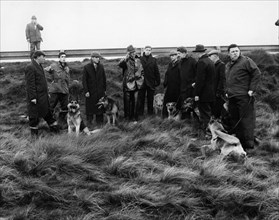 Les meurtres de la lande