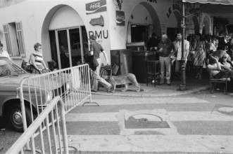 GV Saint-Tropez, France, Tuesday 17th June 1975, man with pet lion, scene about town.