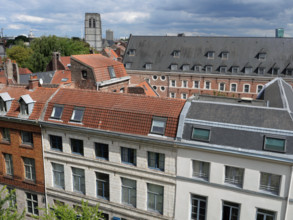 FRANCE IMMOBILIER LILLE