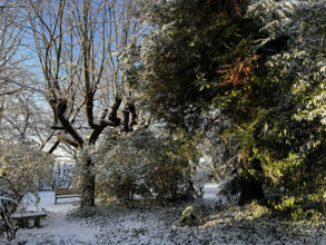 FRANCE-VAL D'OISE-METEO