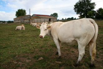 FRANCE PROVINCE AGRICULTURE