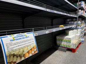 Pénurie d'oeufs dans les supermarchés français