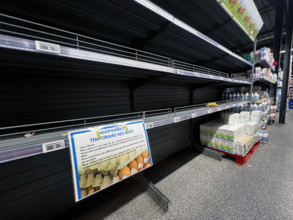 Pénurie d'oeufs dans les supermarchés français