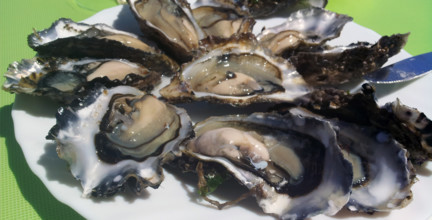 FRANCE REGIONS GIRONDE