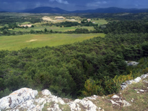 FRANCE SOCIETE-TIR  SPORTIF