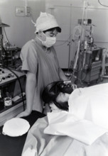 Hôpital en France, 2000