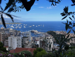 Baie de Monaco