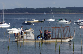 France - Arcachon - Illustration