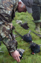 France - Société - Chasse