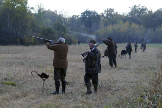 Chasse - France - Petit gibier