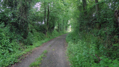 France - Régions - Nature