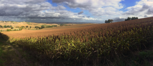 France - Régions - Nature