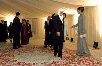 Queen Rania during the second Summit Arab Women's Summit, November 2002