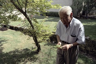 Portrait of Zao Wou Ki, September 2003