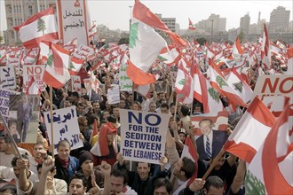 Vast crowd in Beirut backs a role for Syria