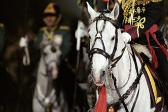 Festival royal du cheval et du chameau au Sultanat d'Oman, janvier 2006