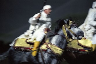 Festival royal du cheval et du chameau au Sultanat d'Oman, janvier 2006