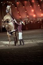 Festival royal du cheval et du chameau au Sultanat d'Oman, janvier 2006